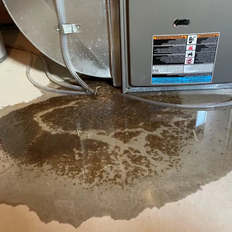 Pipe Burst and Leak Restoration in Coal City, WV