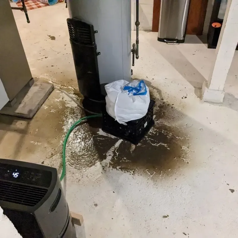 Sewage Backup Cleanup Service in Coal City, WV